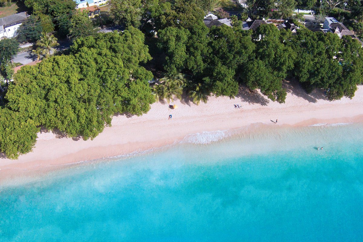 Bamboo Home - Image 16