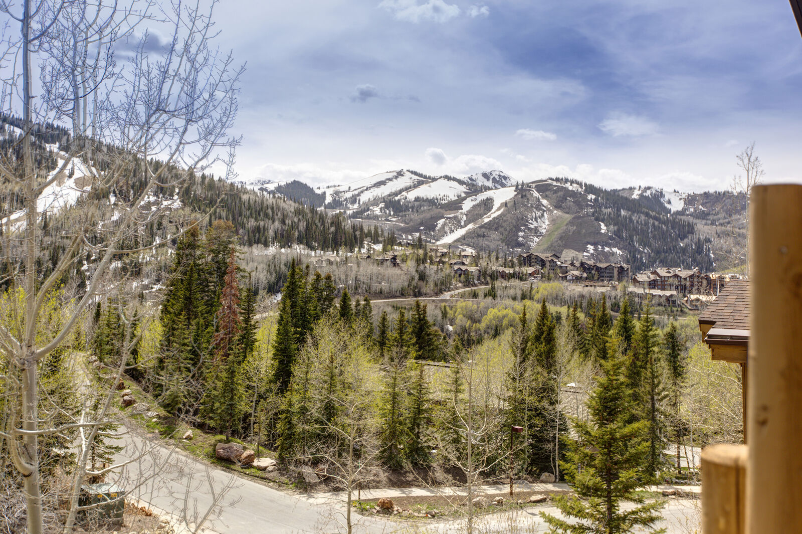 Bear Home - Image 26