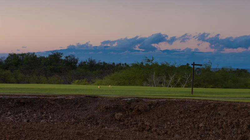 Oasis House - Image 28