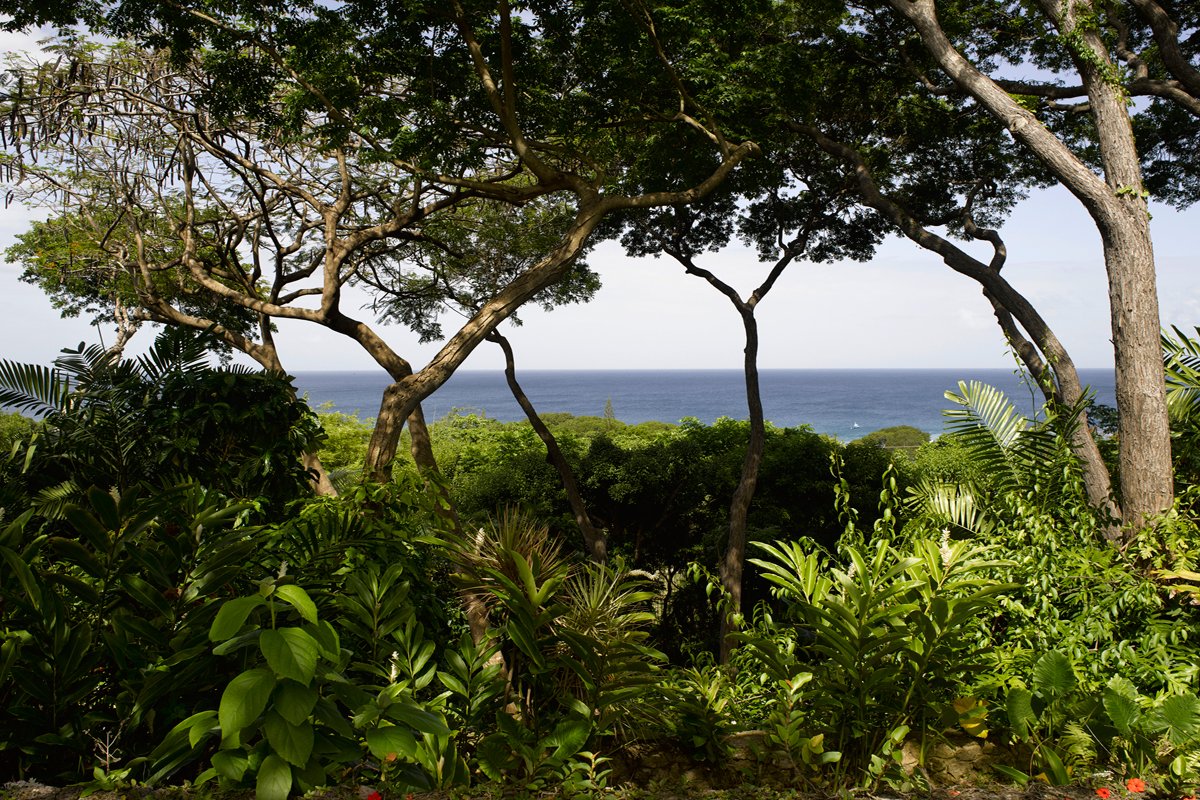 Wisteria Manor - Image 37