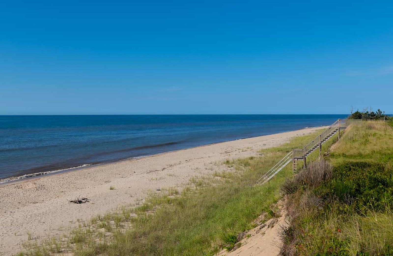 Tom Place - Image 38