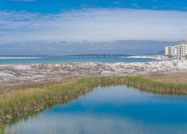 Pelican House - Image 31