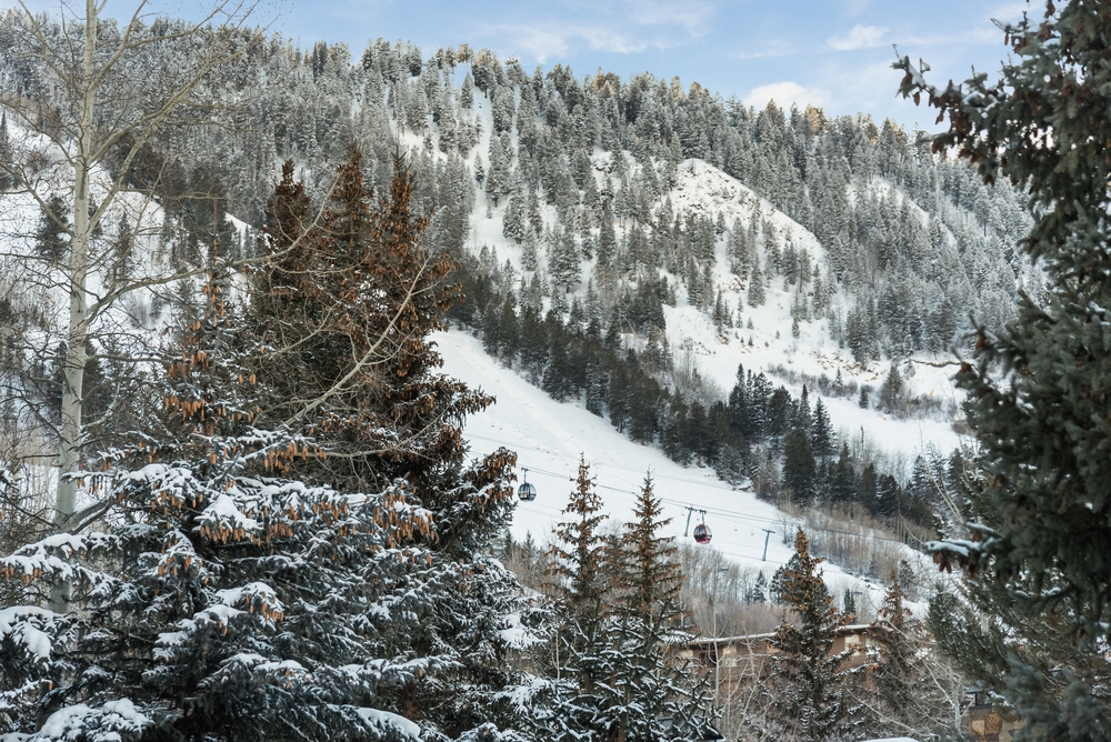 Waters Home - Image 12