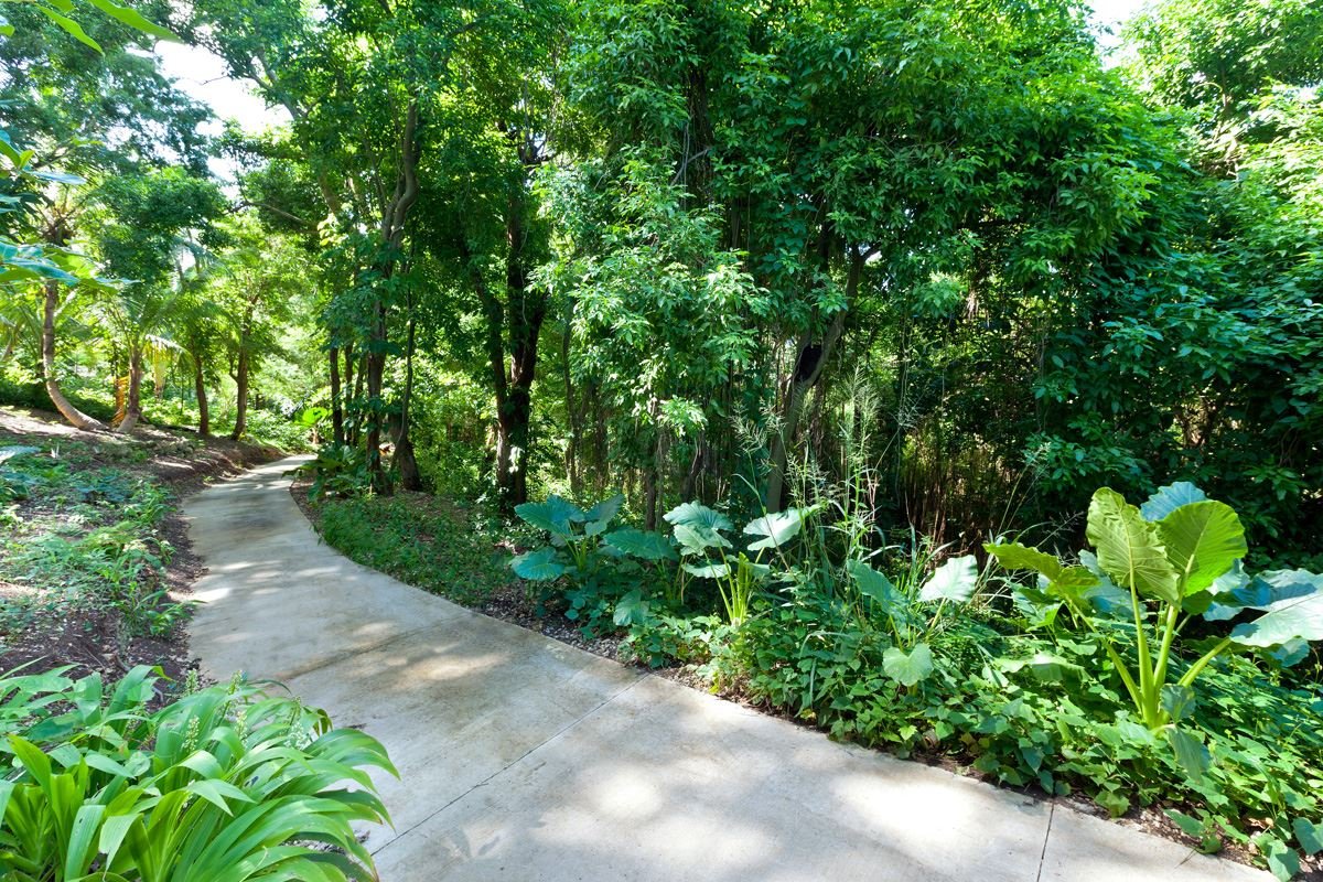 Wisteria Manor - Image 38