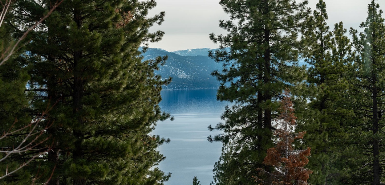 Osprey House - Image 21