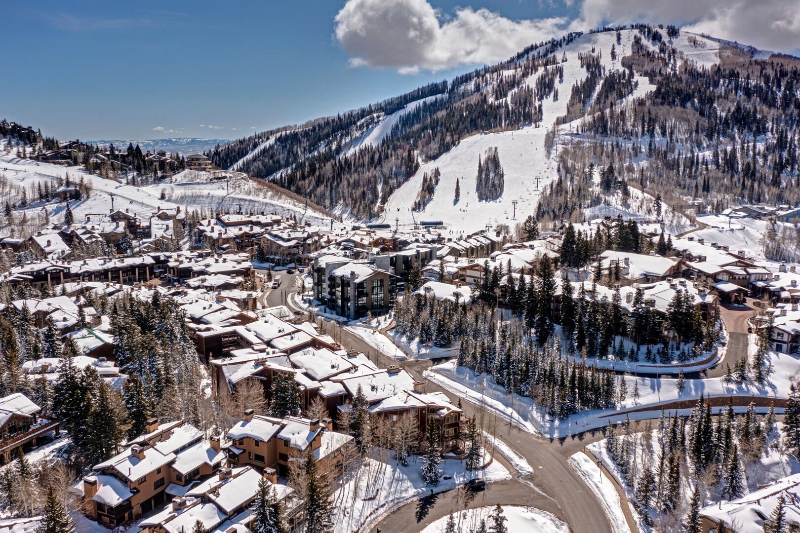 Deer House - Image 49