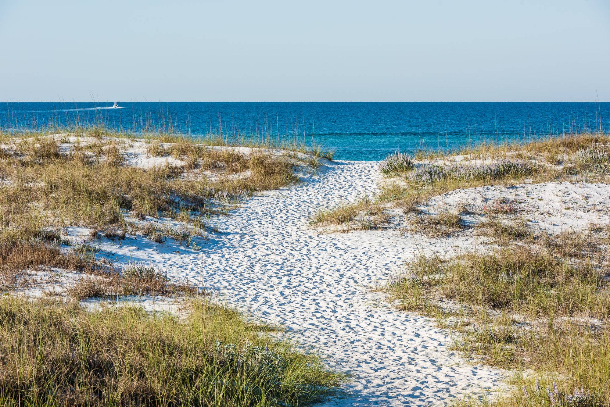 Sweet Magnolia Place - Image 65