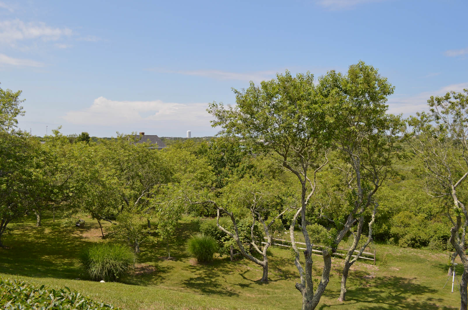 Vestal Place - Image 18