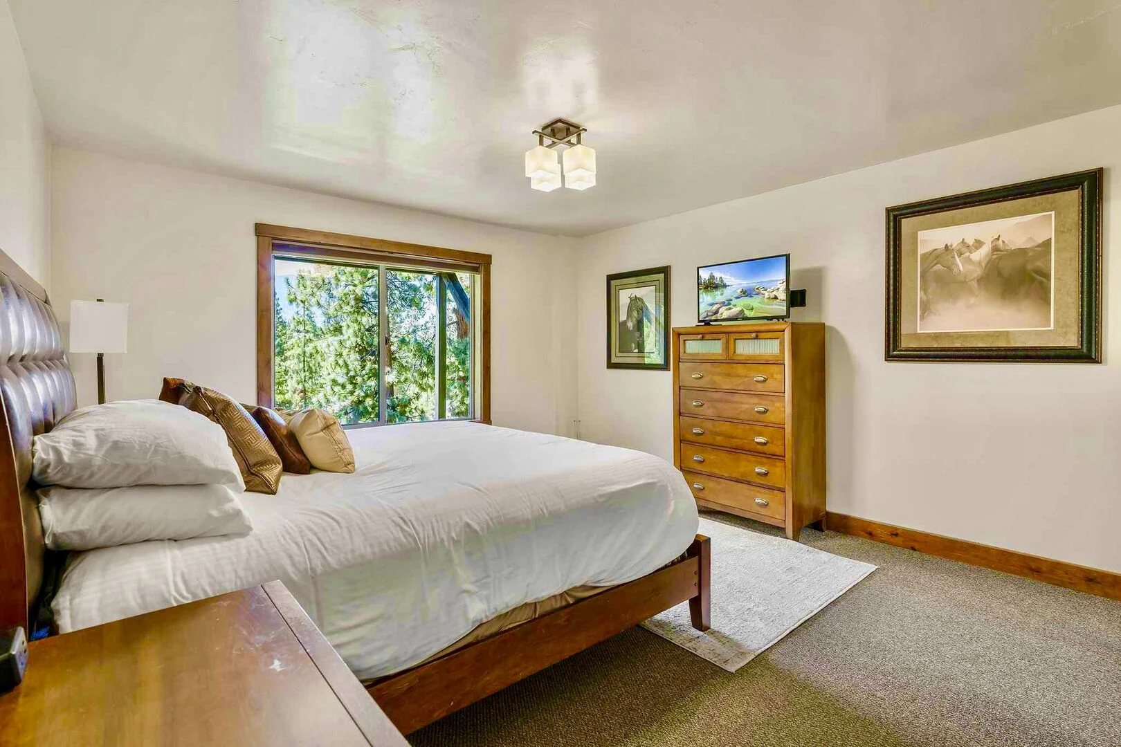 Ute Manor - Image 19