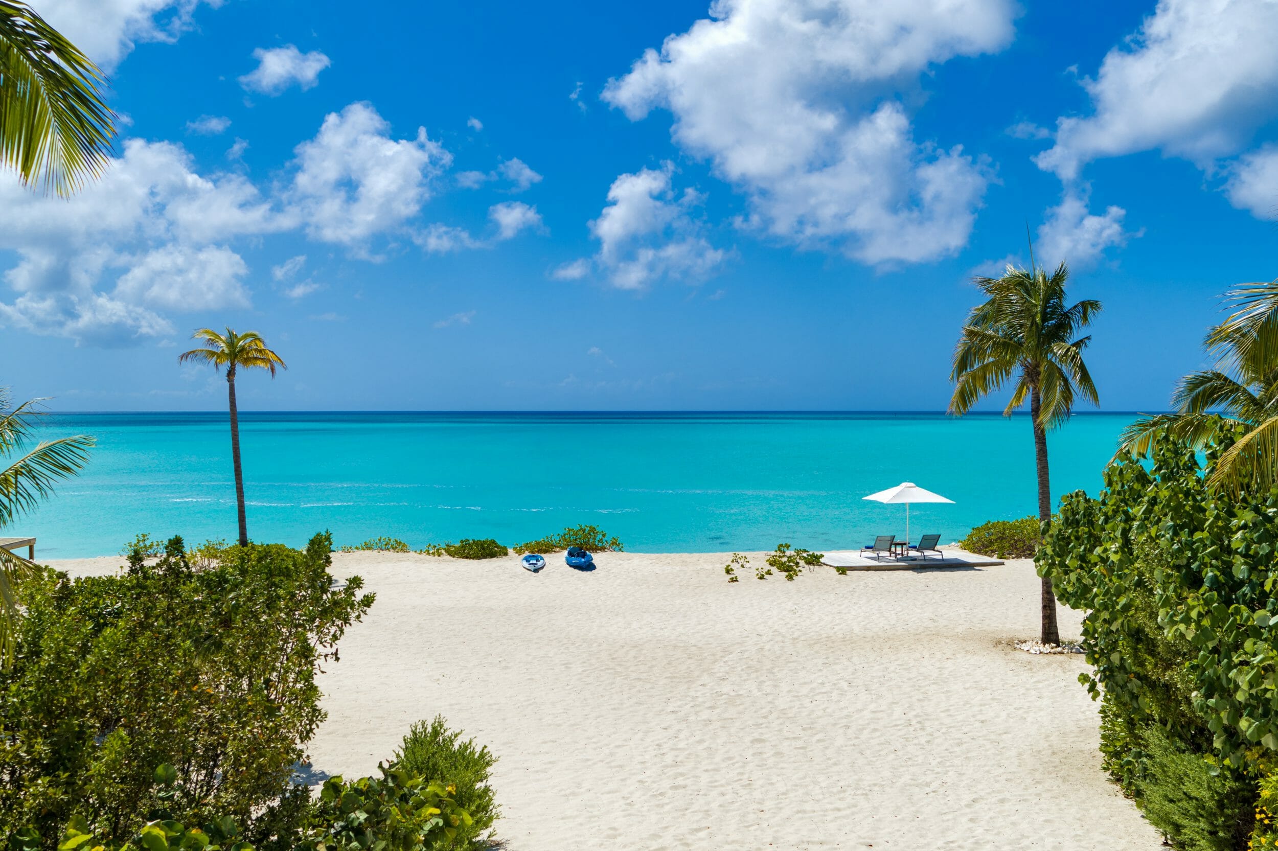 Dolphin House - Image 24