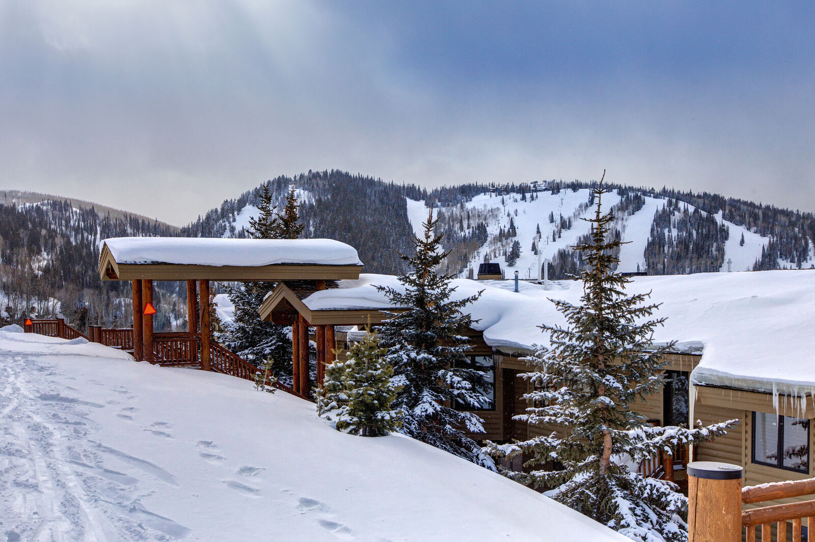 Royal House - Image 2