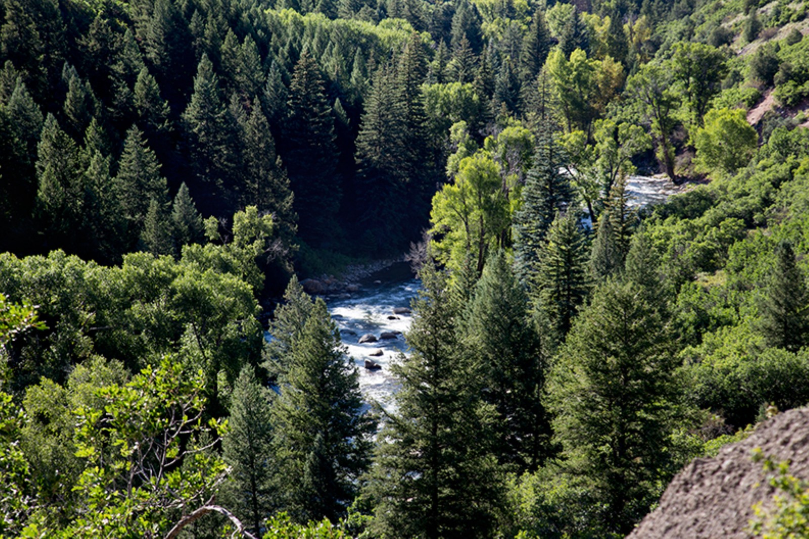 McLain Villa - Image 44