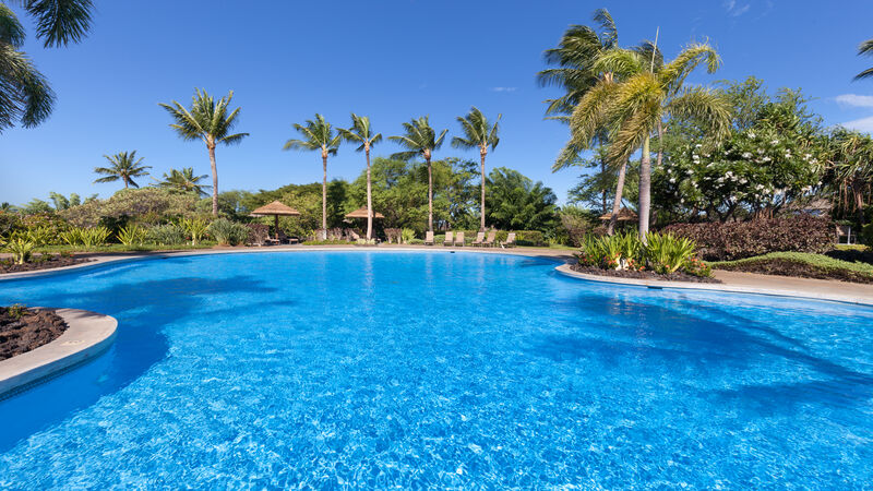 Paradise Awaits - Image 37