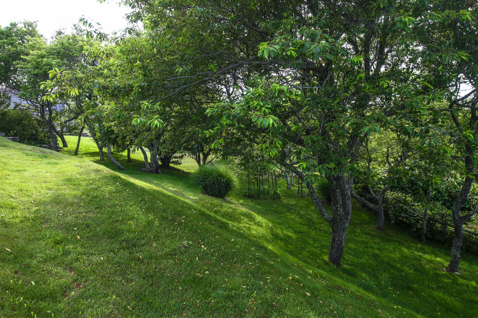 Vestal Place - Image 17