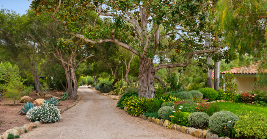 Olive Tree Place - Image 25