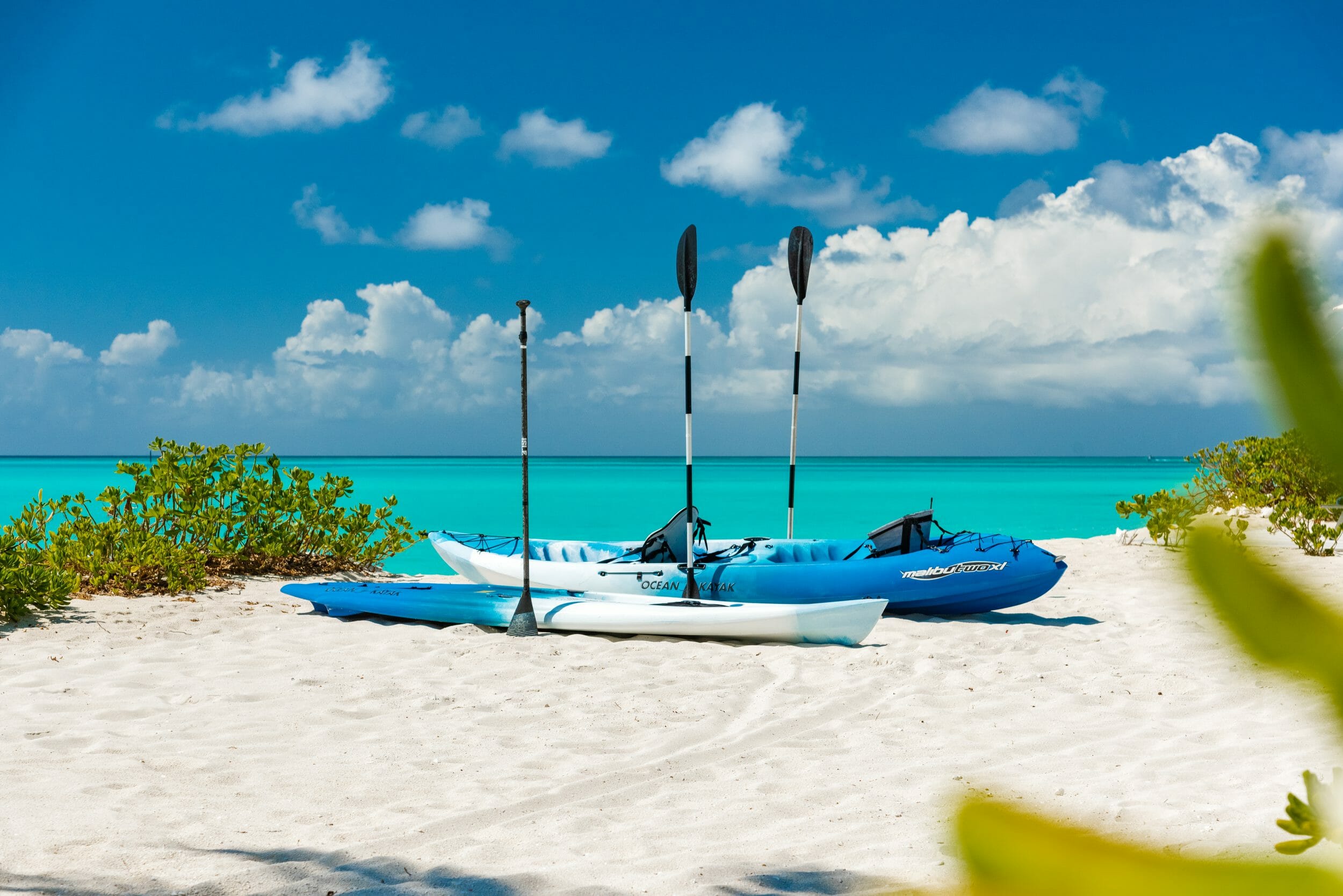 Dolphin House - Image 21