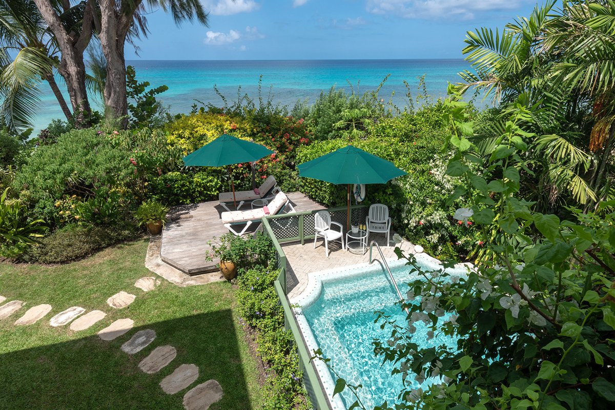 Banana Leaf Place - Image 15