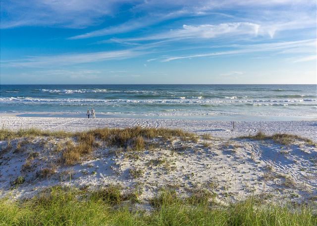 Begonia Villa - Image 52