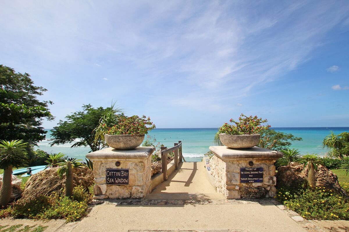 Barclaya Manor - Image 25