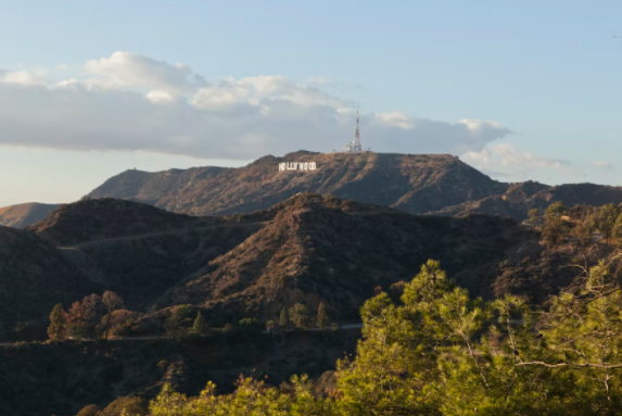 Hillside House - Image 44