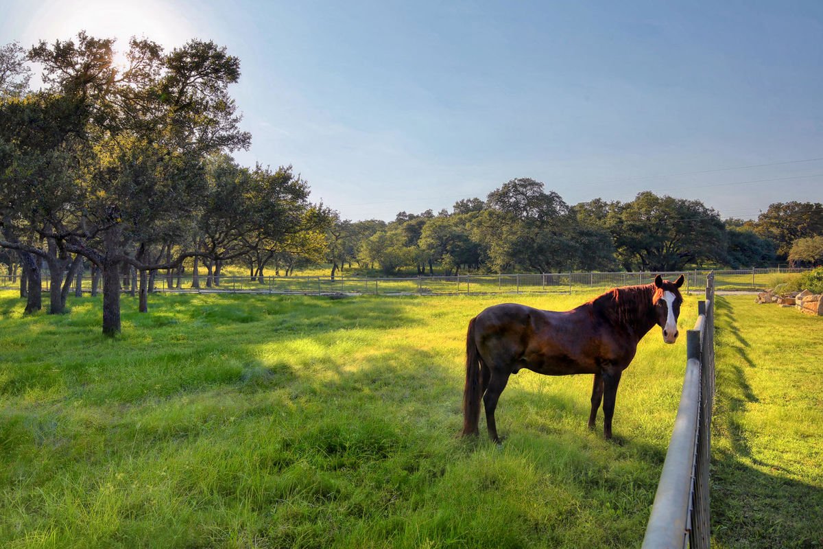 Spring Manor - Image 41