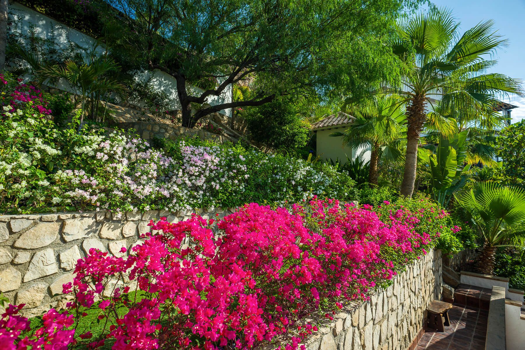Cholla Villa - Image 14