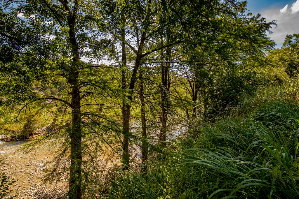 Live Oak Home - Image 42