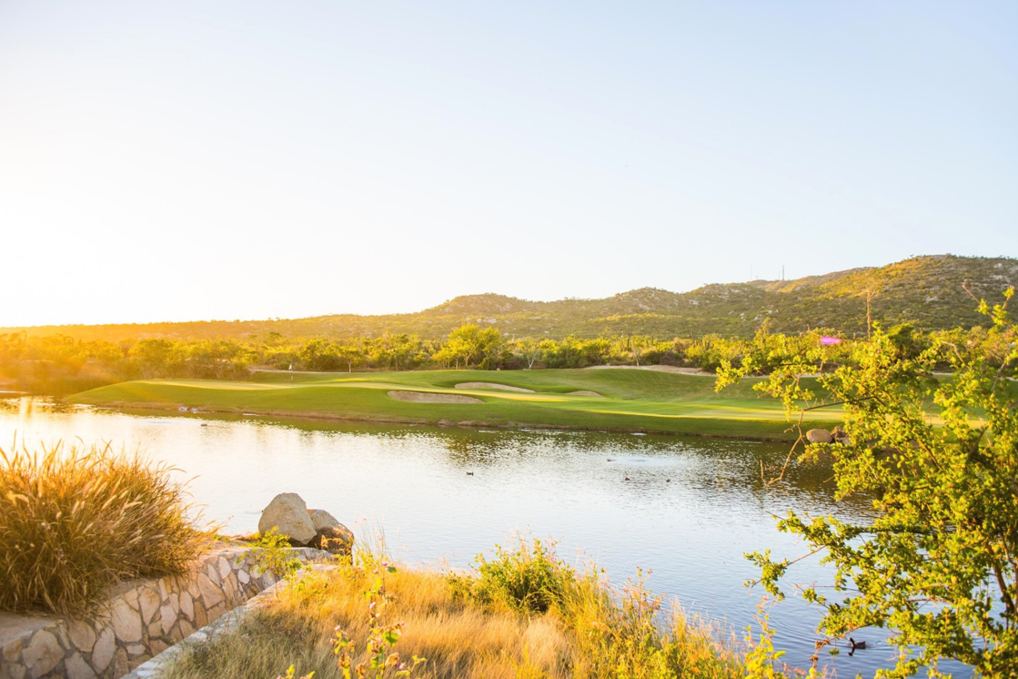 Cabo Estate - Image 66