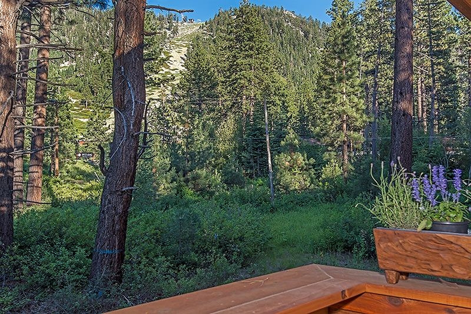 Saddle Manor - Image 40