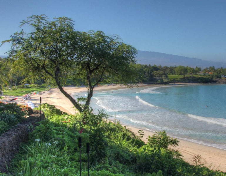 Oasis House - Image 35