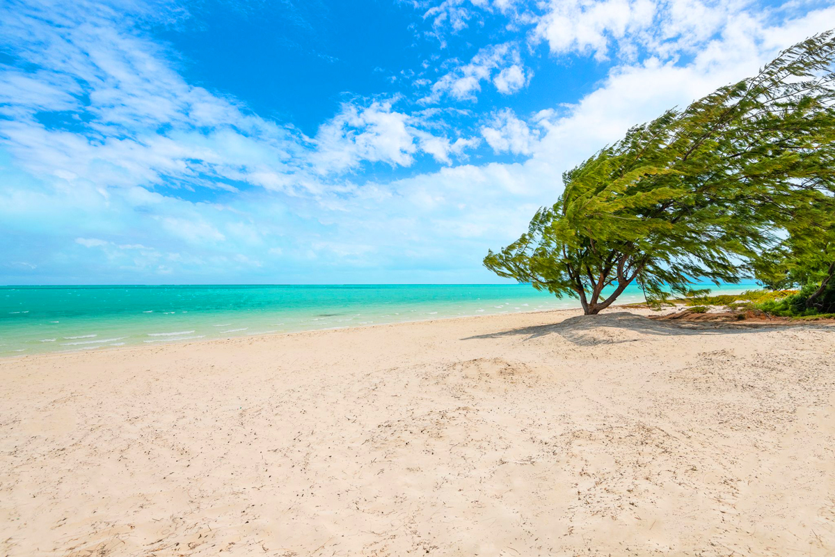 Hermanas Villa - Image 62