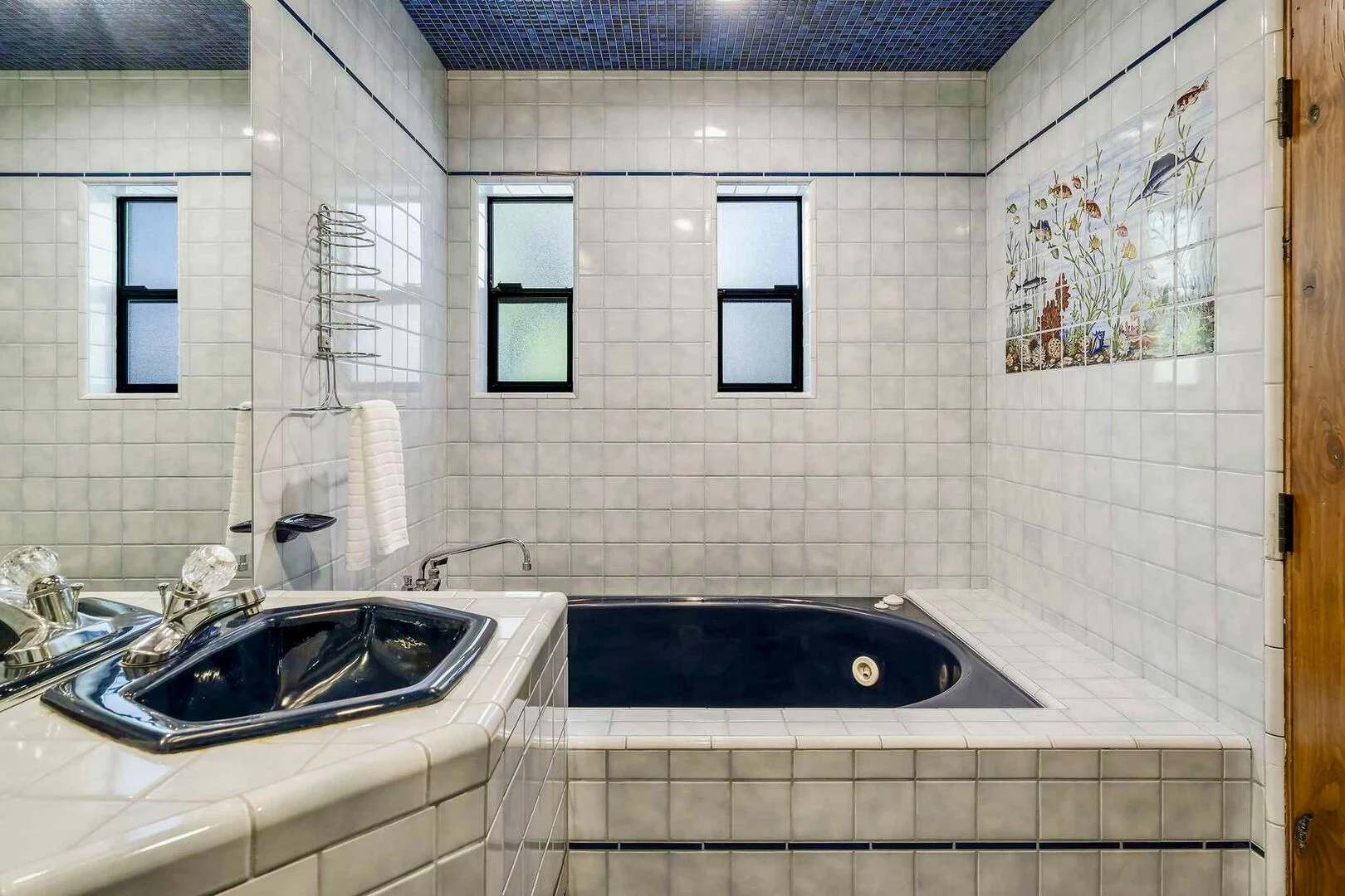 Ute Manor - Image 29