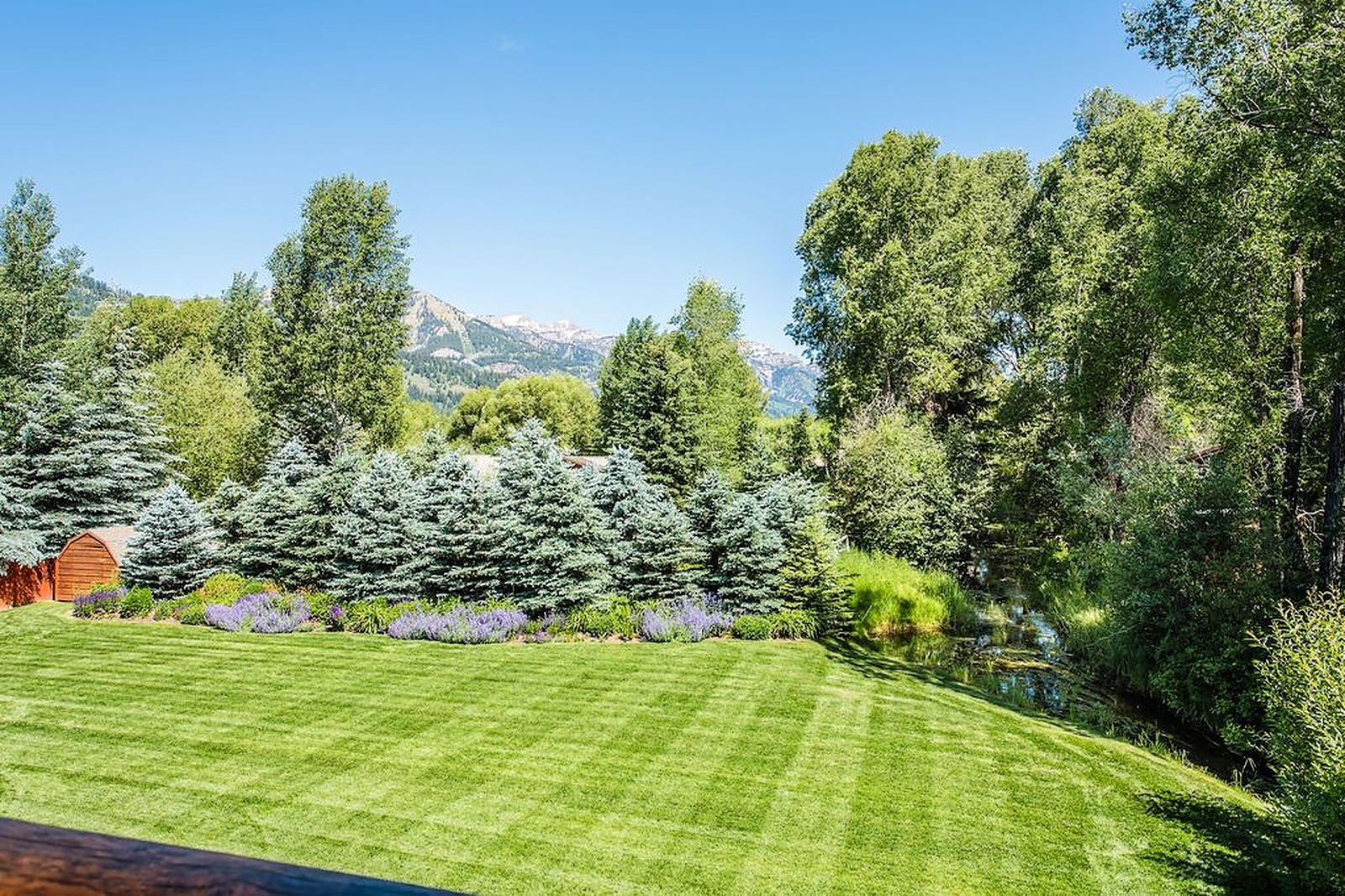 Jackson Hole - Image 39