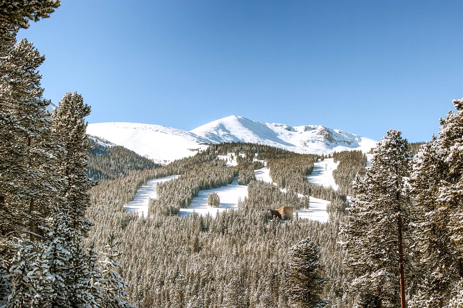 Amber Manor - Image 37