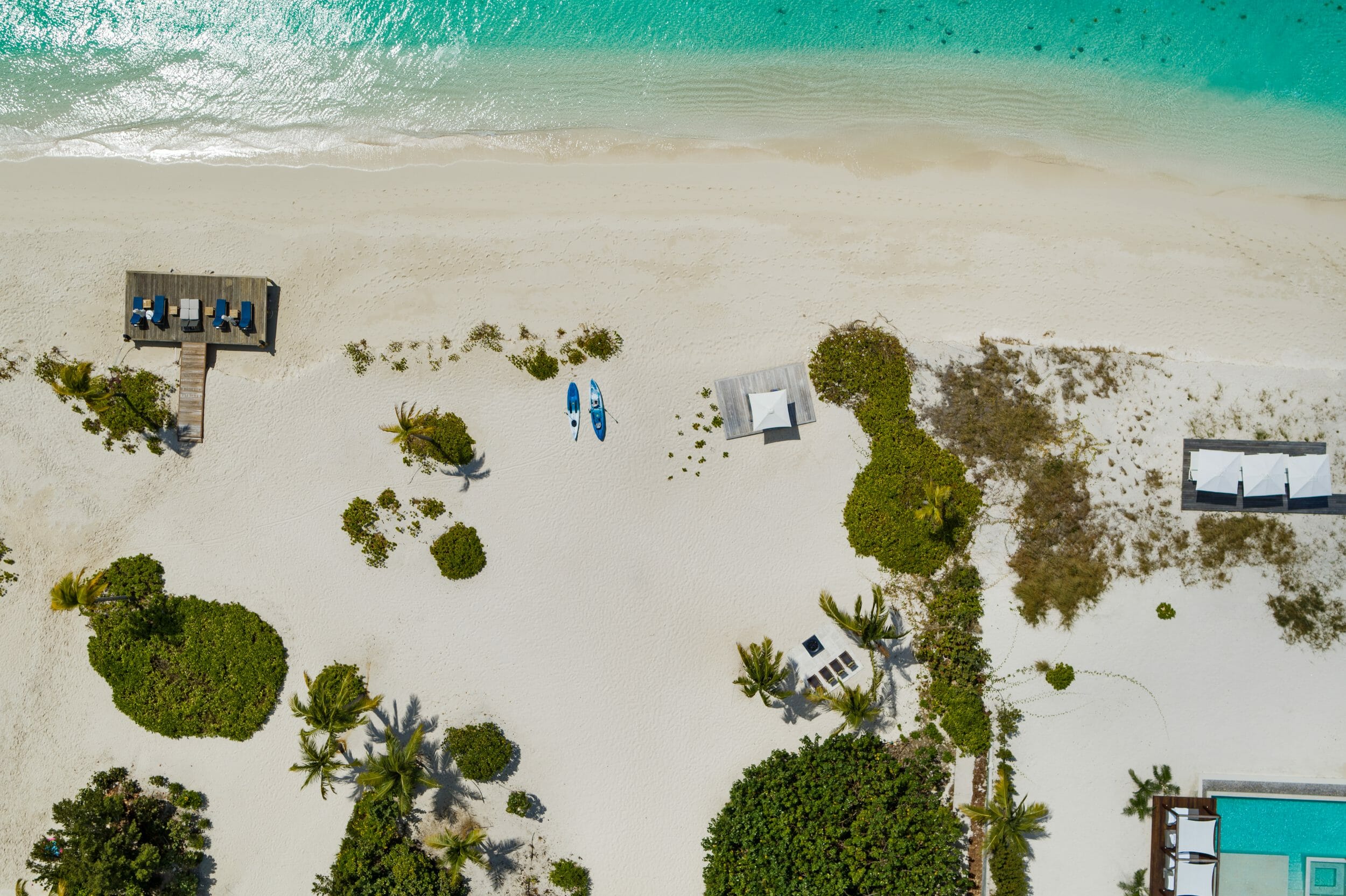 Dolphin House - Image 23