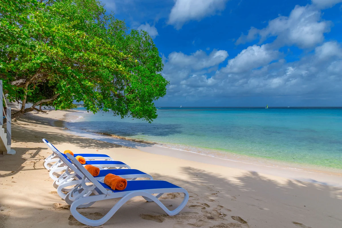 Greenidge House - Image 16