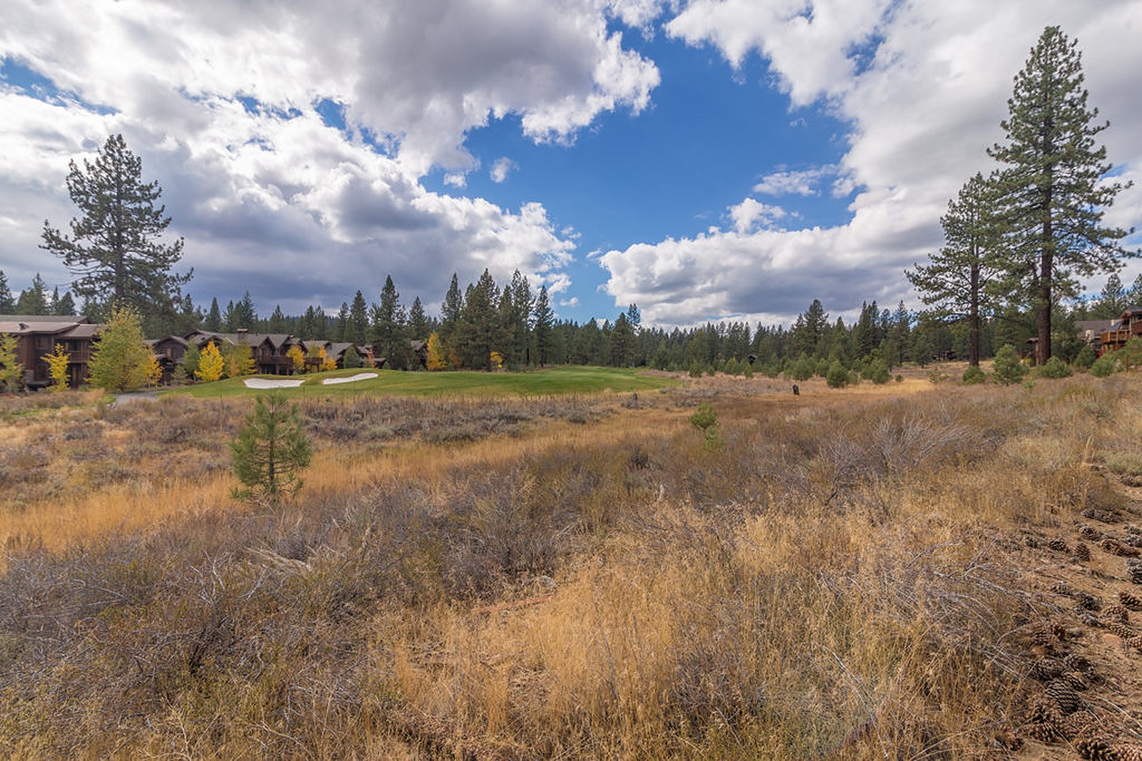 Heart Home - Image 35