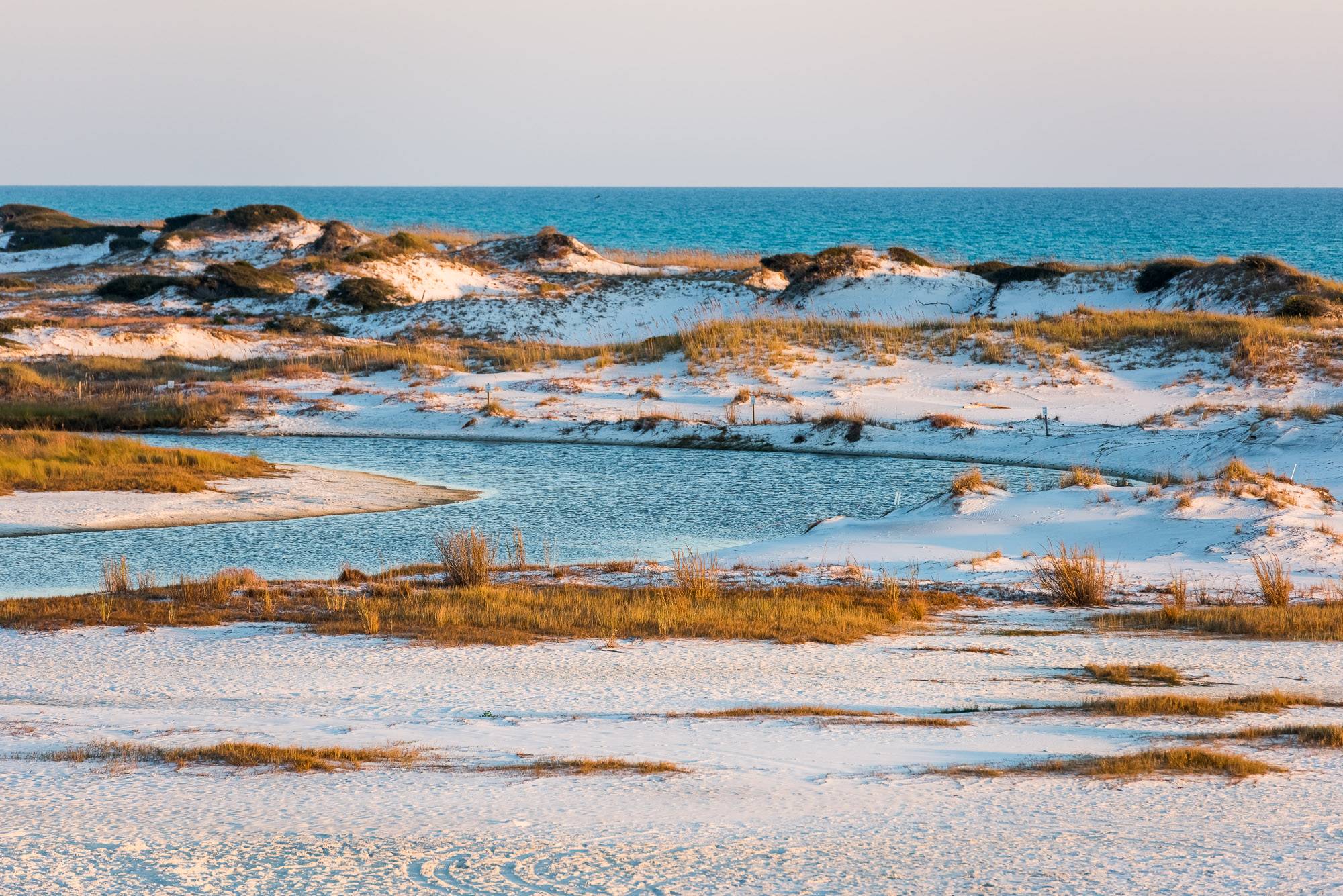 Sweet Magnolia Place - Image 64