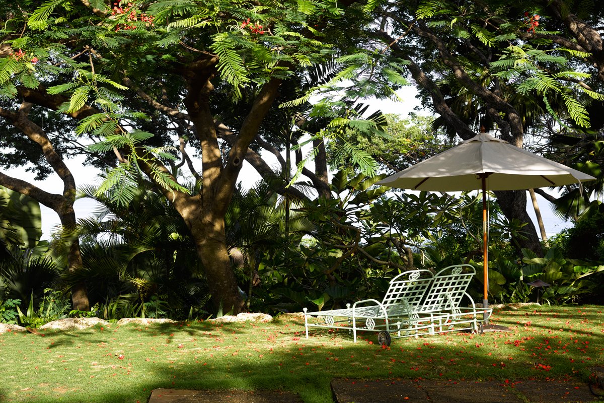 Wisteria Manor - Image 35