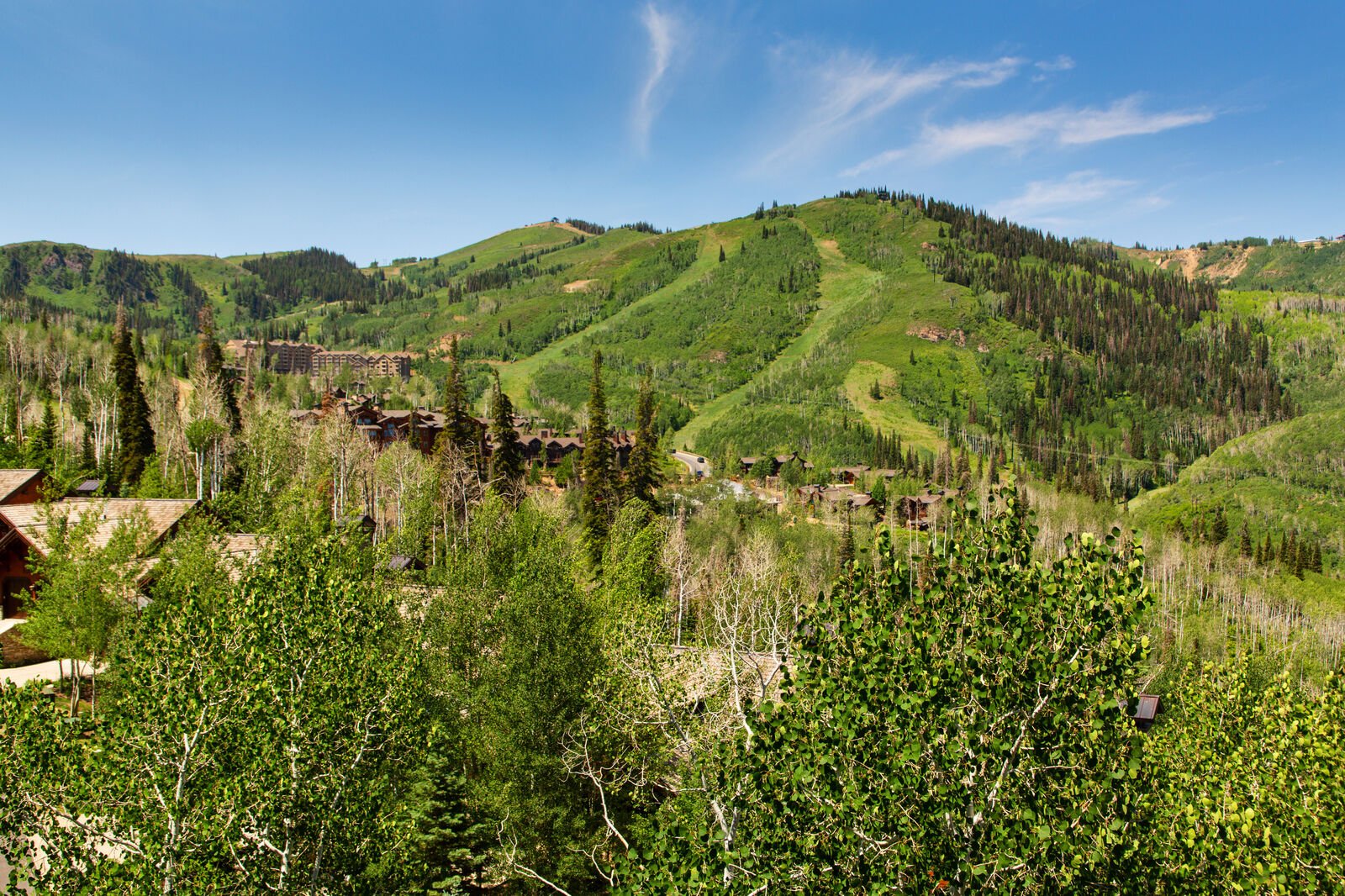 Arrow Home - Image 31