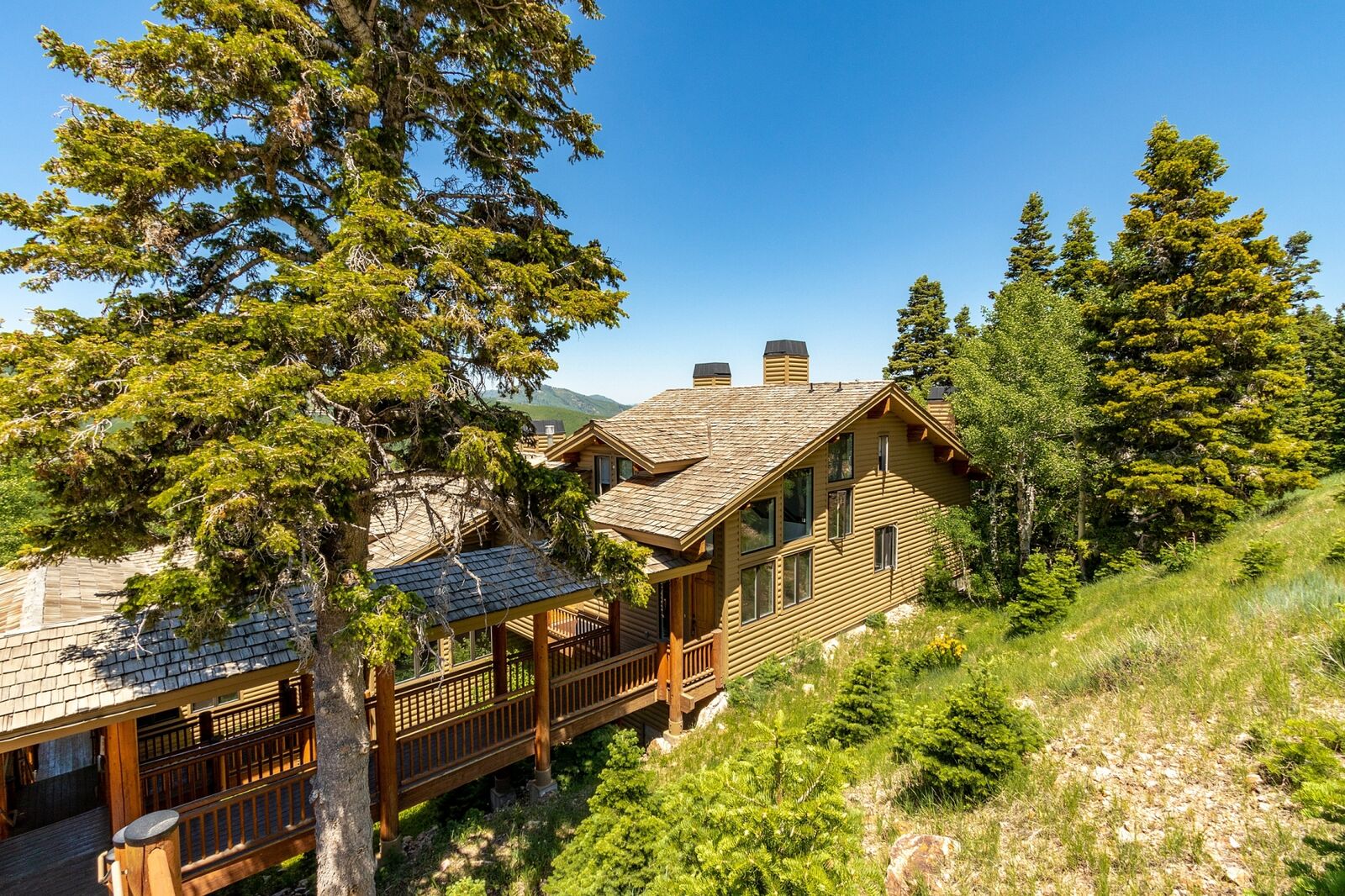 Royal House - Image 4