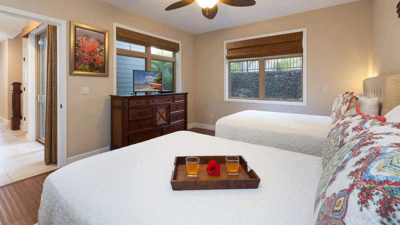 Oasis House - Image 18