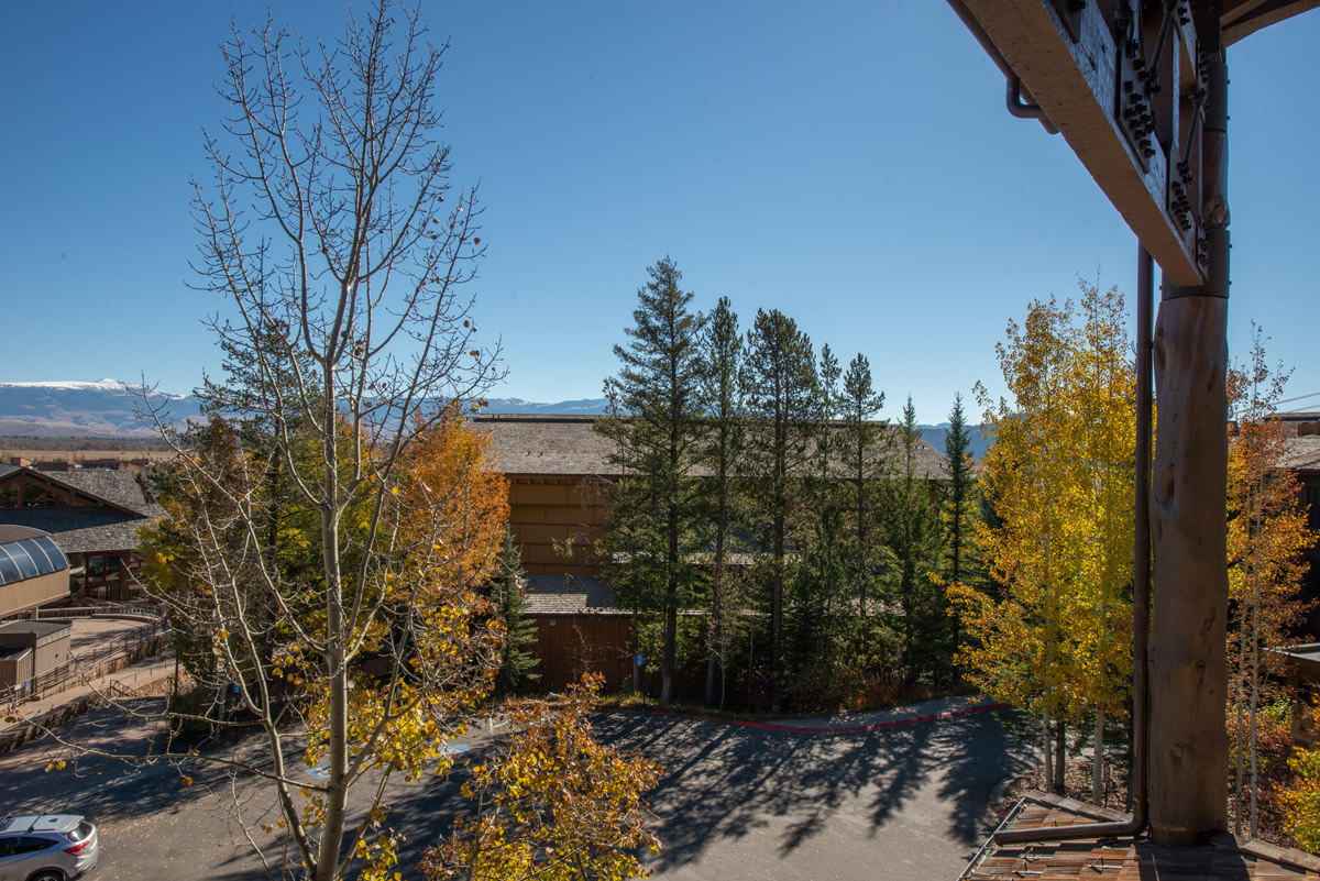 Cottonwood House - Image 16