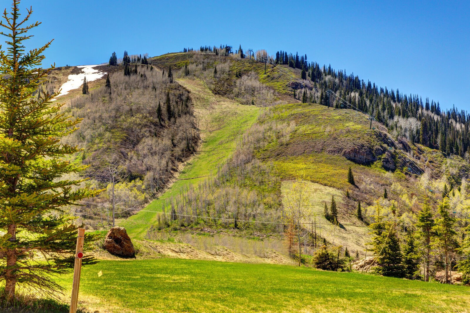 Star House - Image 49