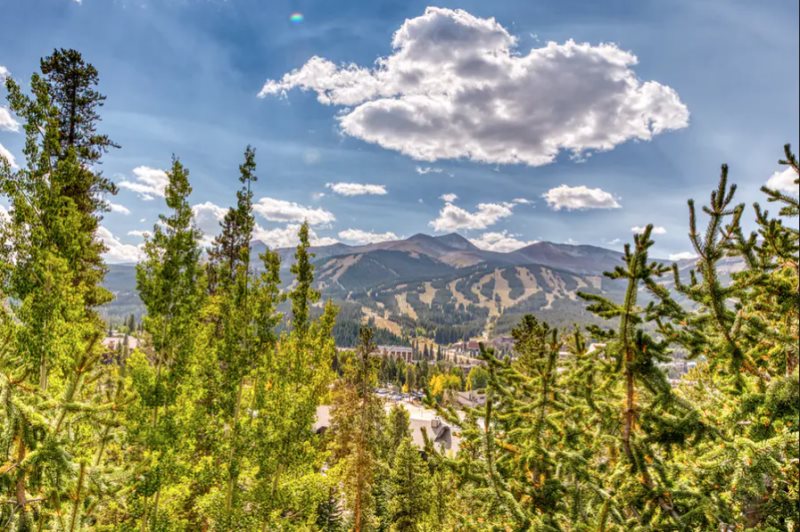 Mountain Vista Place - Image 26