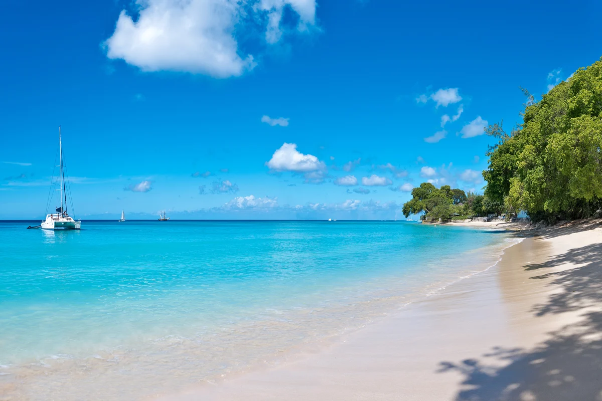 Bamboo Home - Image 18