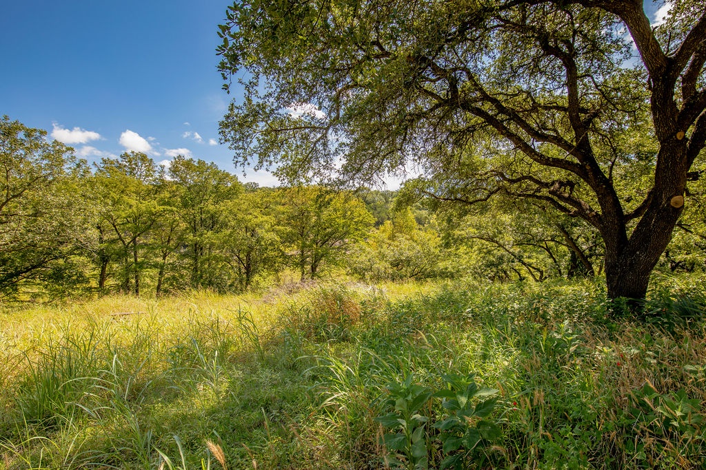 Live Oak Home - Image 39