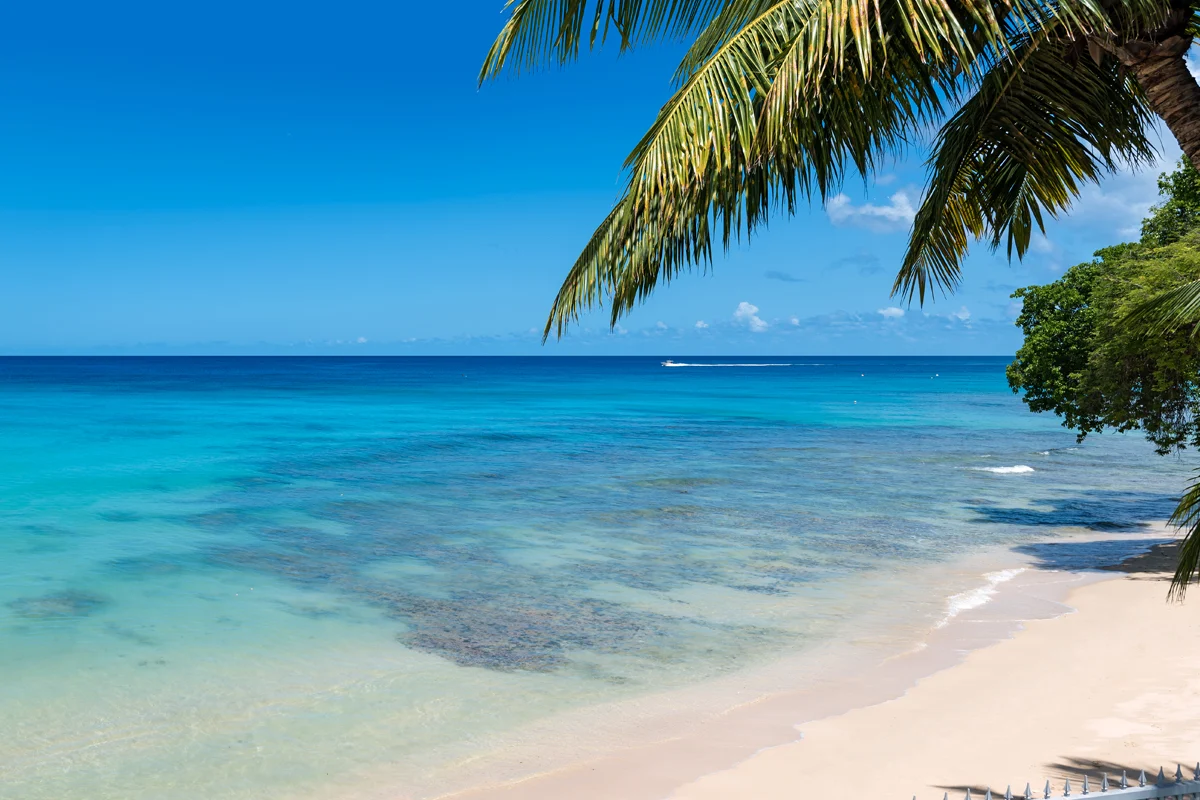 Greenidge House - Image 17