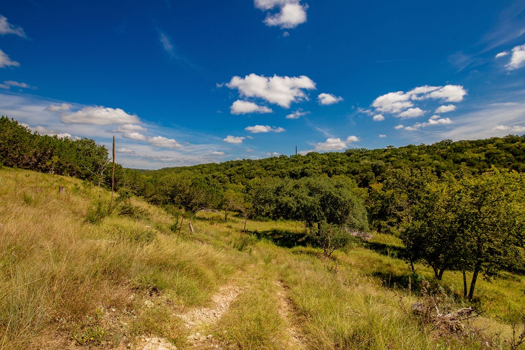 Live Oak Home - Image 38