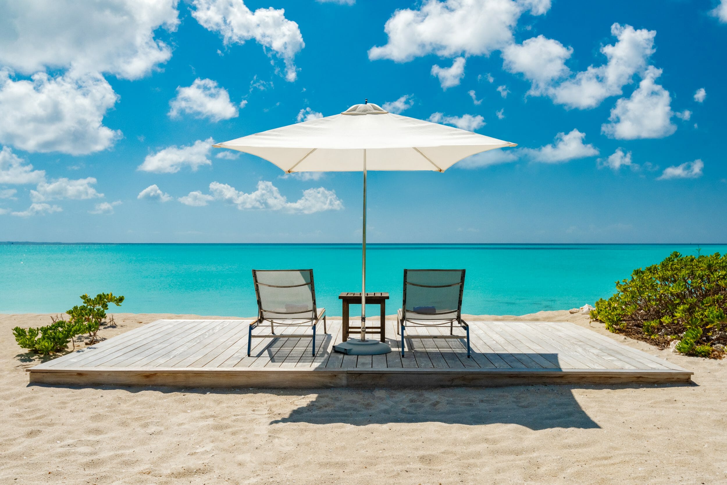 Dolphin House - Image 20